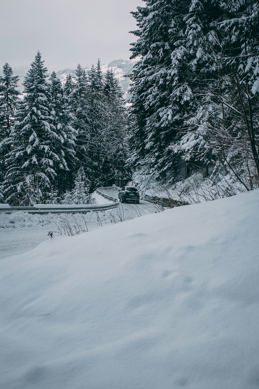 black SUV on road surrounded by snow covered pine trees