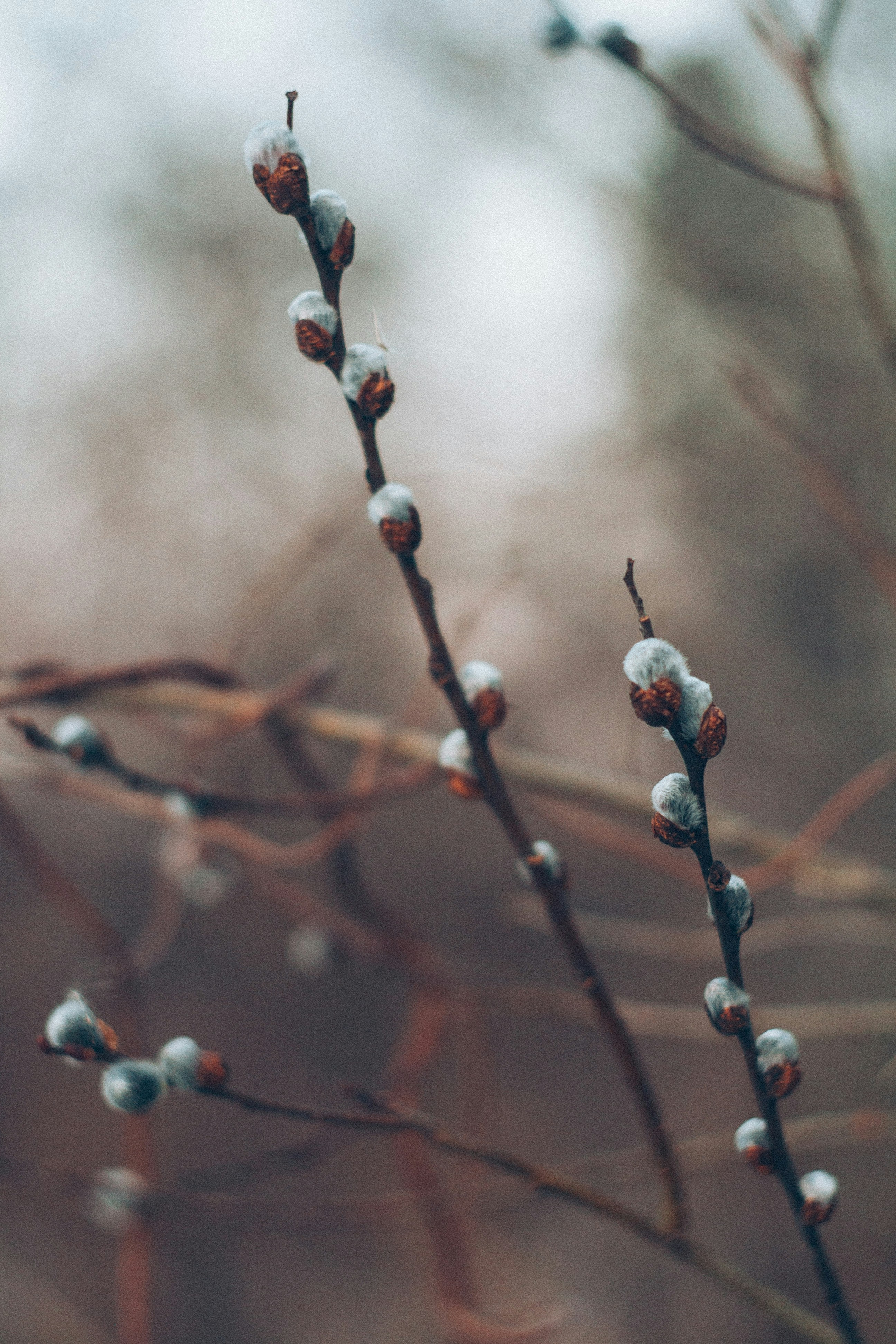 Photo by onmywayhome