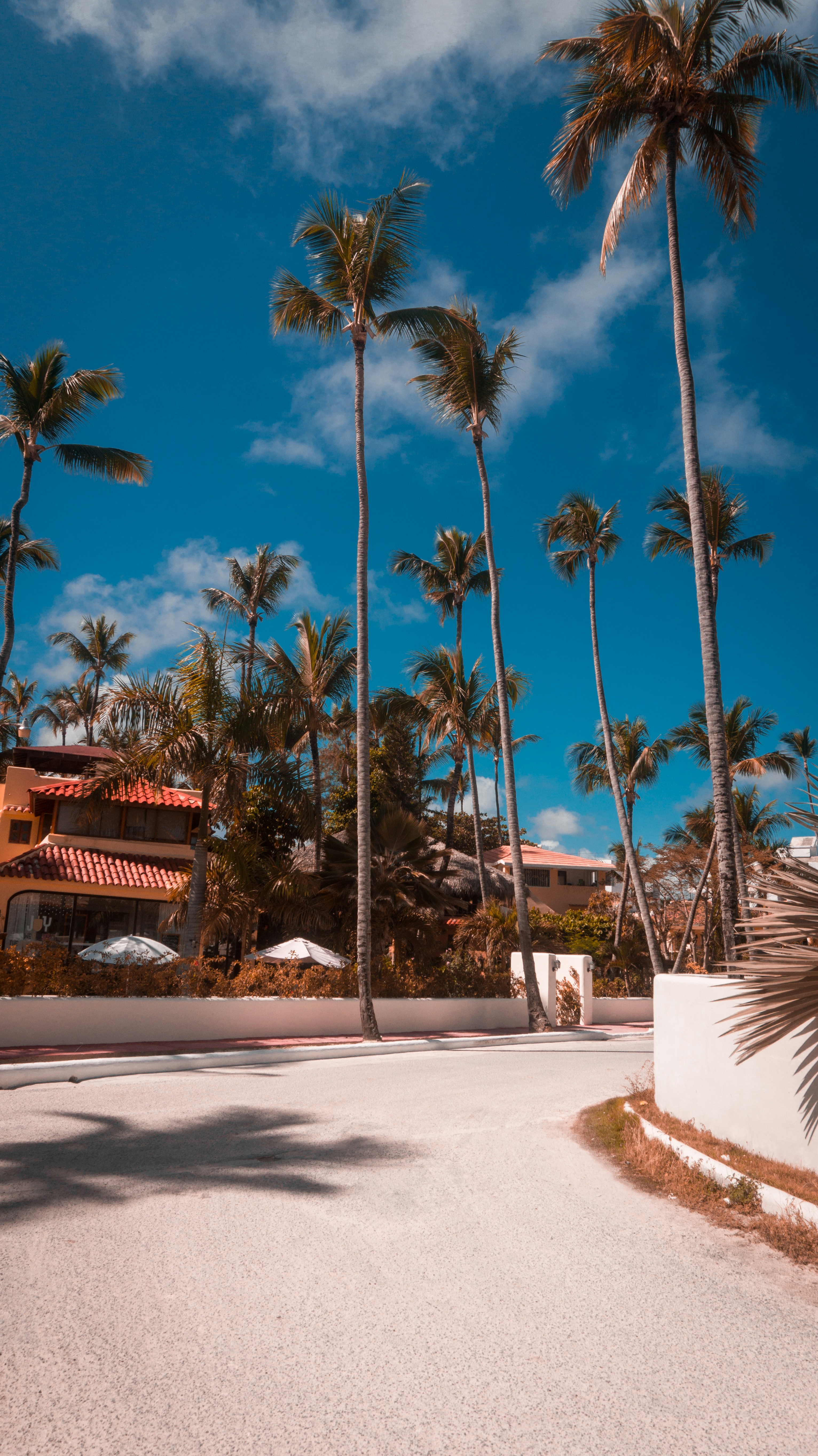 Orange Inn Laguna Beach Menu