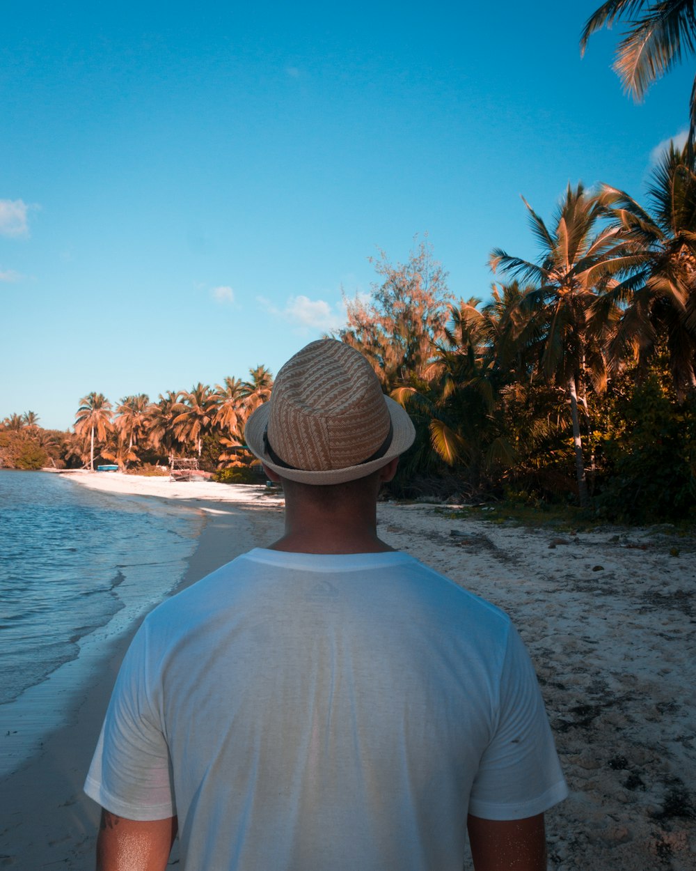 man facing sea near tall trees