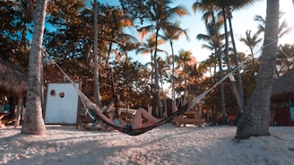 woman lying on hammock beside beach