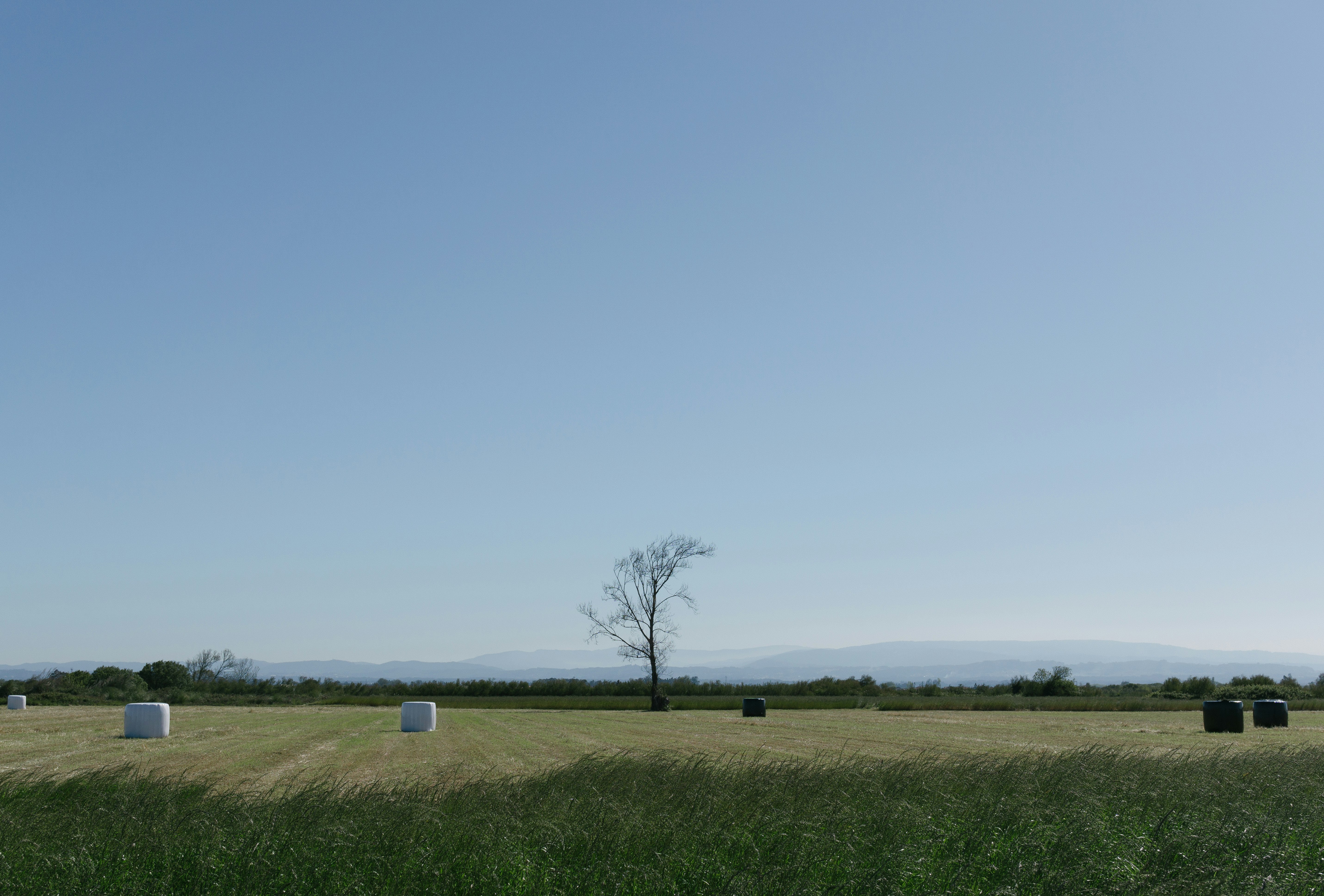 vast pasture under blue sky during daytime