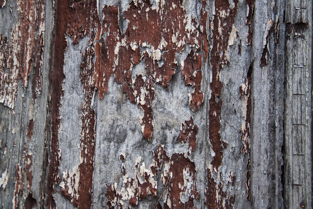 a close up of a peeling paint on a wooden wall