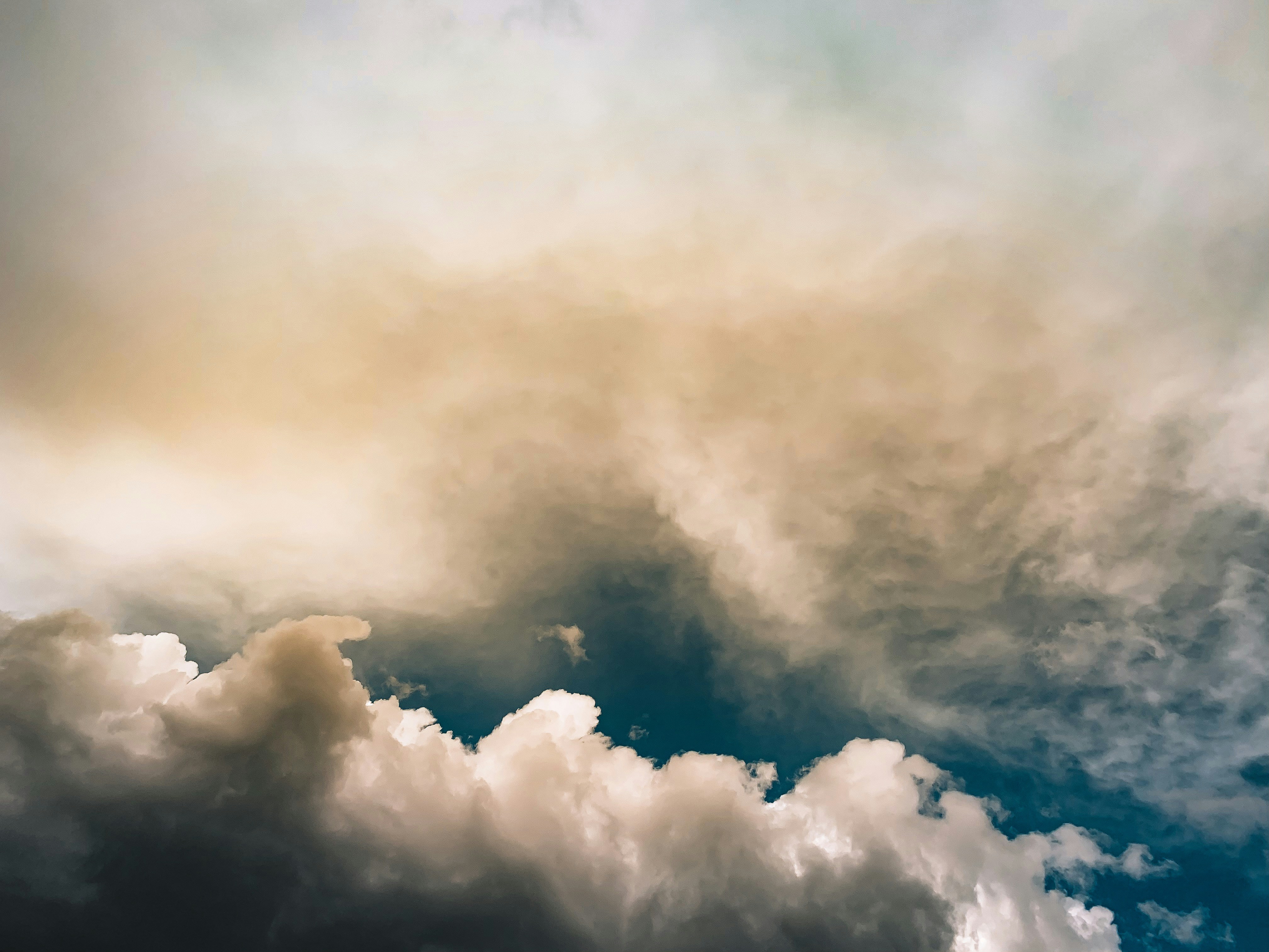 Photo by guss_bedolla