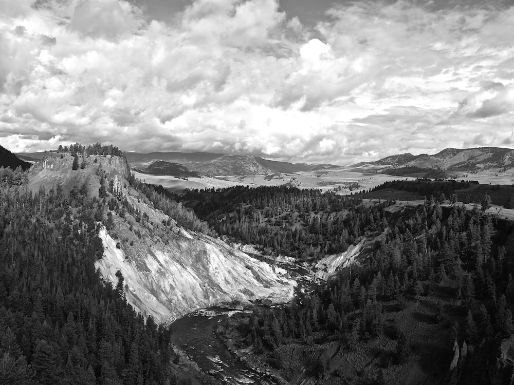 mountain range surrounded by trees