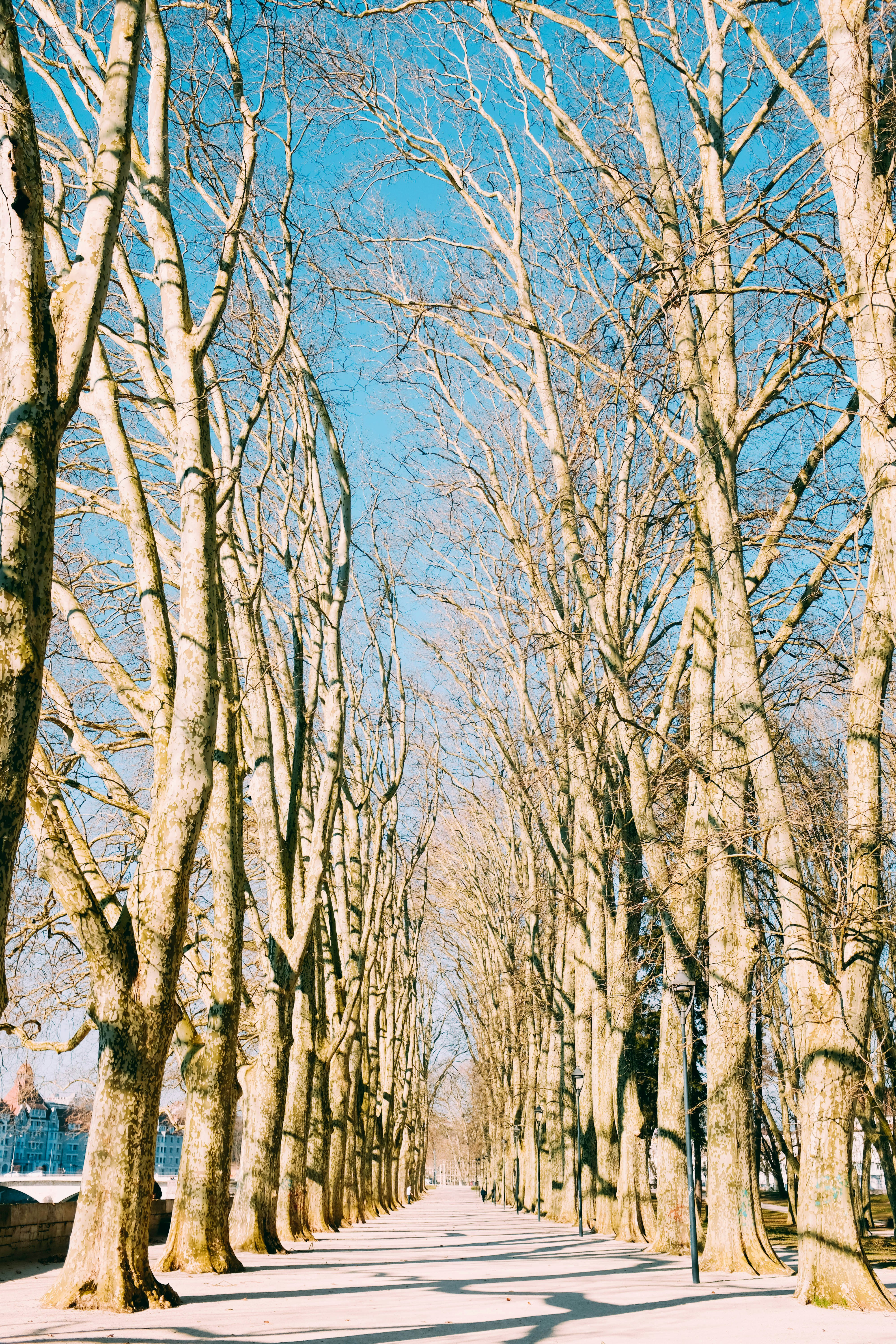 Photo by adrienolichon