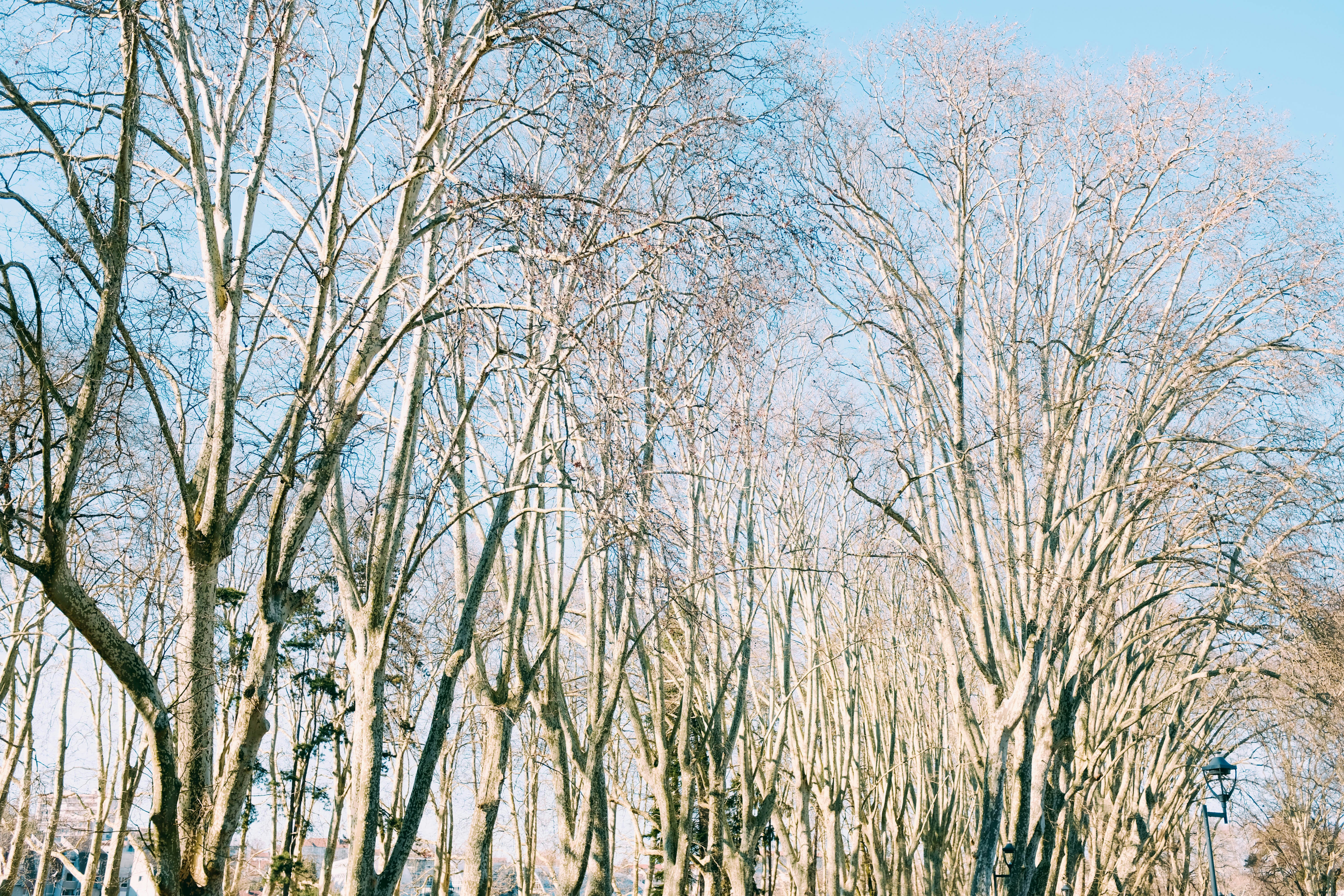 Photo by adrienolichon