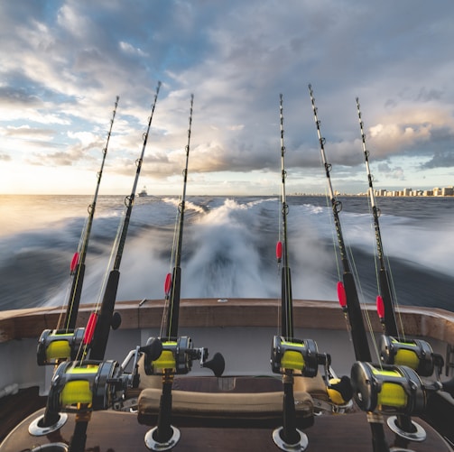 six black-and-yellow fishing rod in boat