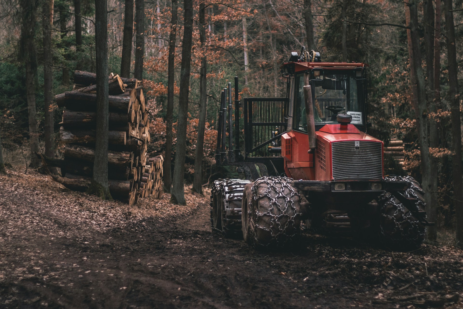 red tractor parked under brown trees