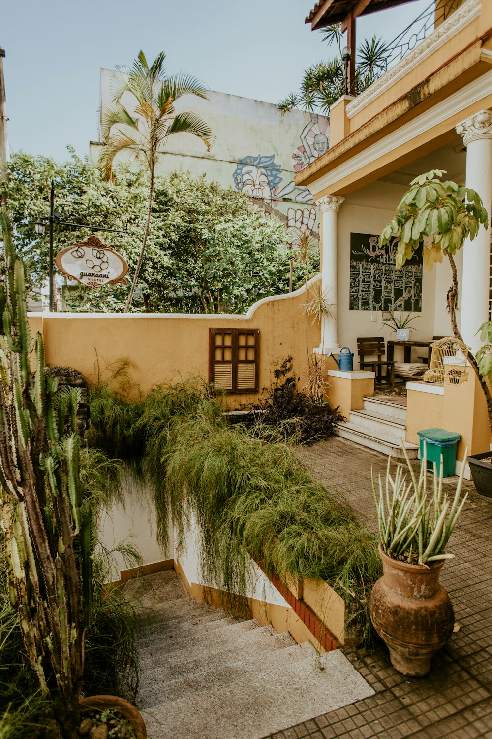 brown pot with green-leafed plant beside stair