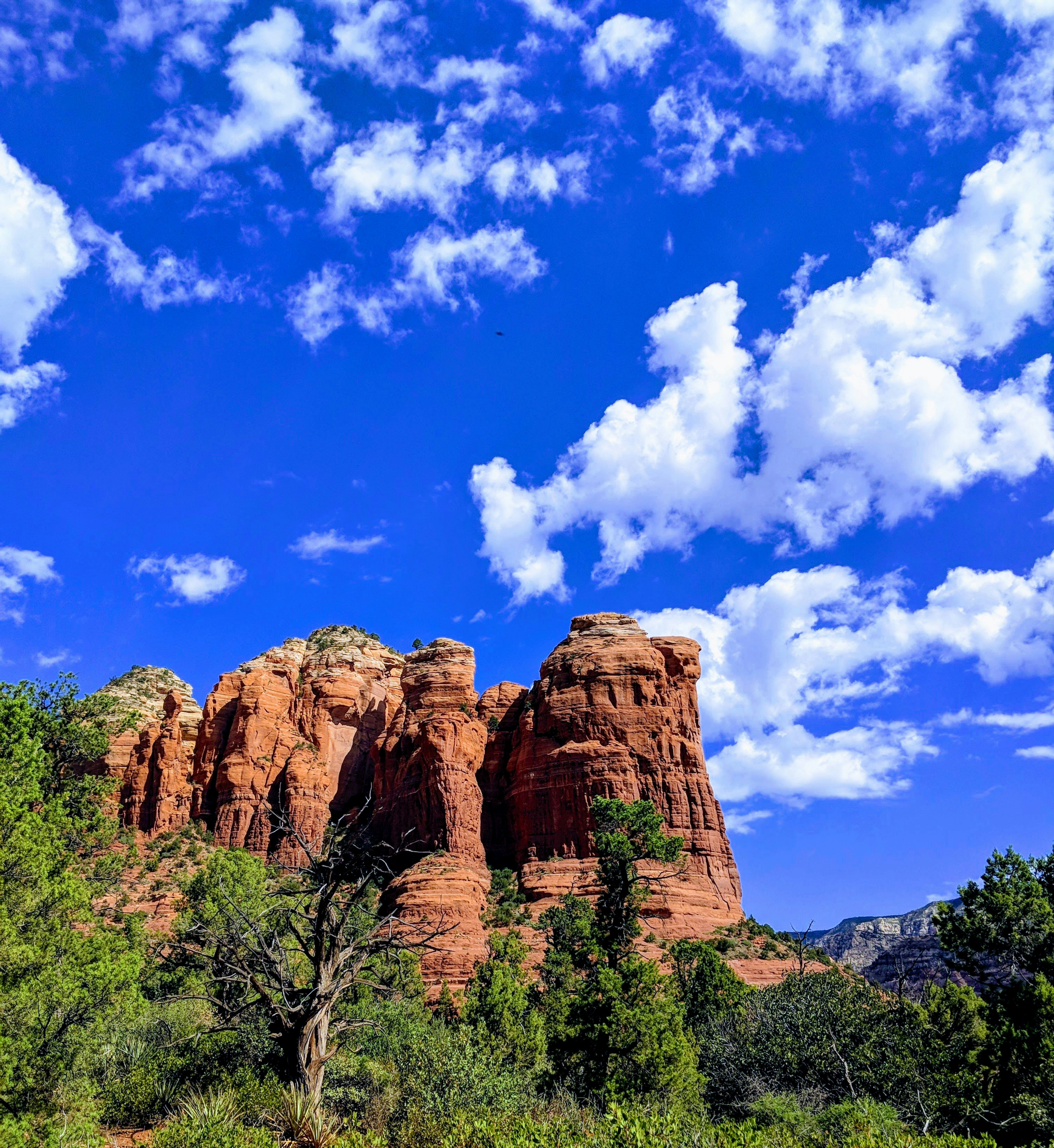 Photo by arizonabird