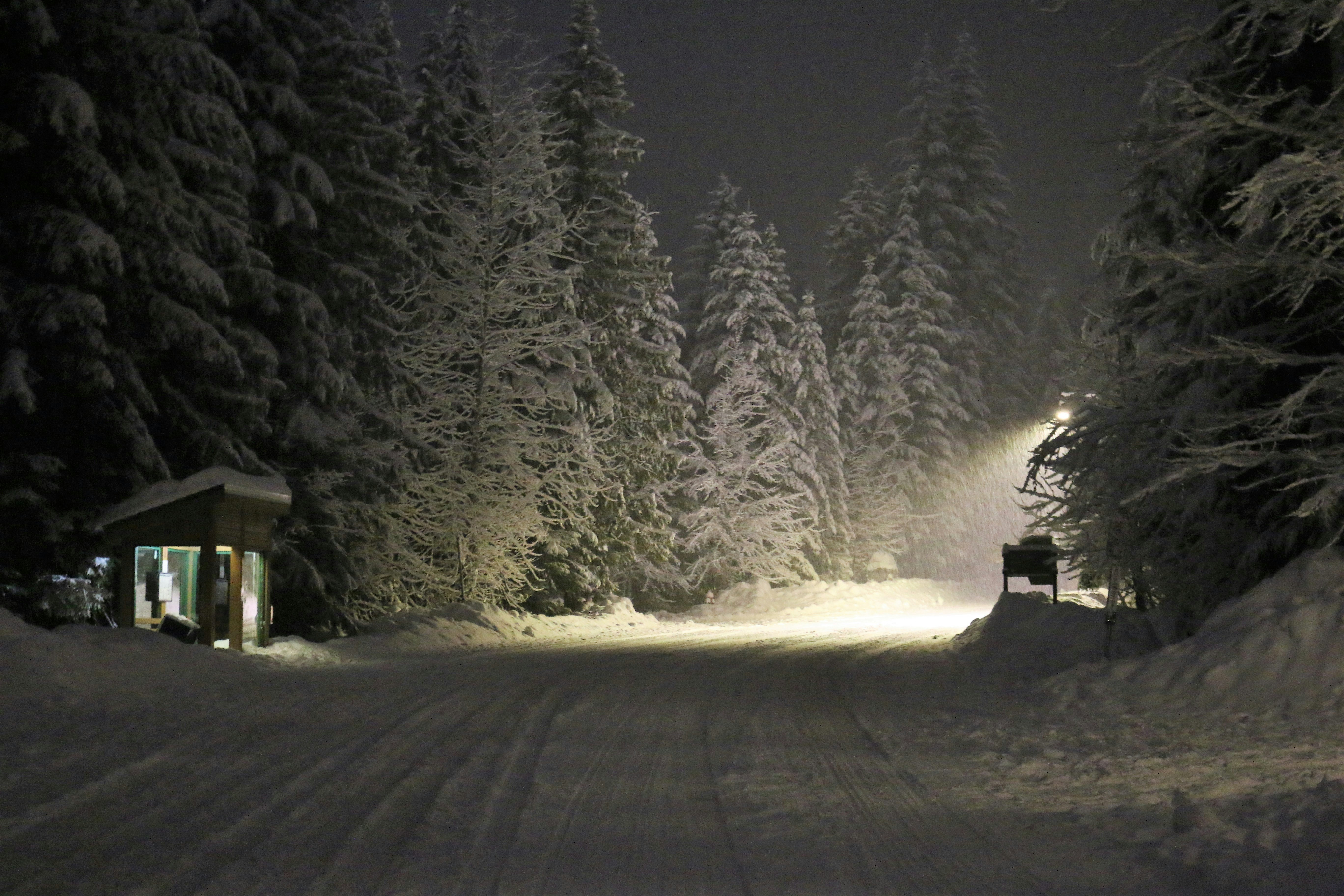 Photo by christian2205