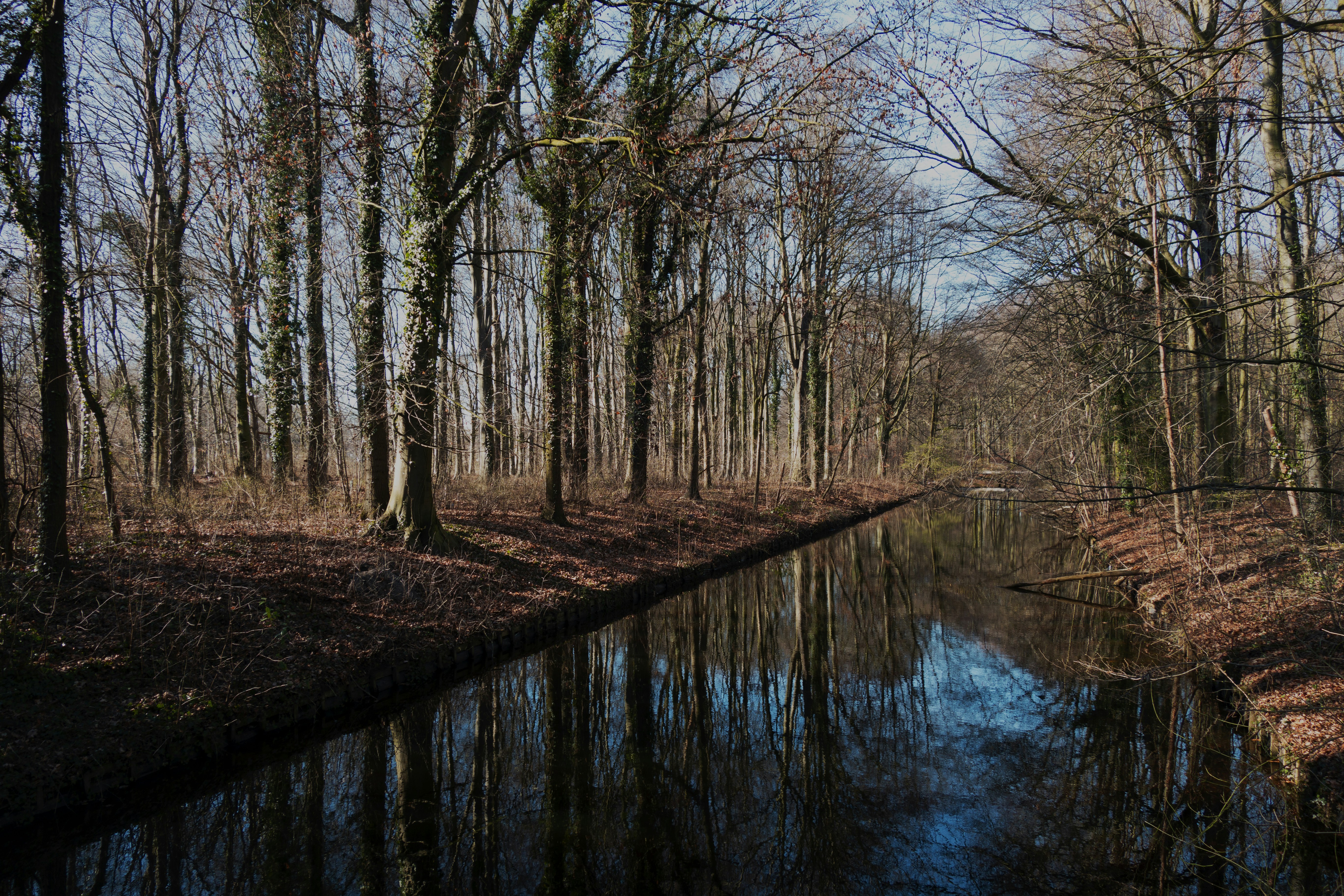 Photo by photo_by_fatih