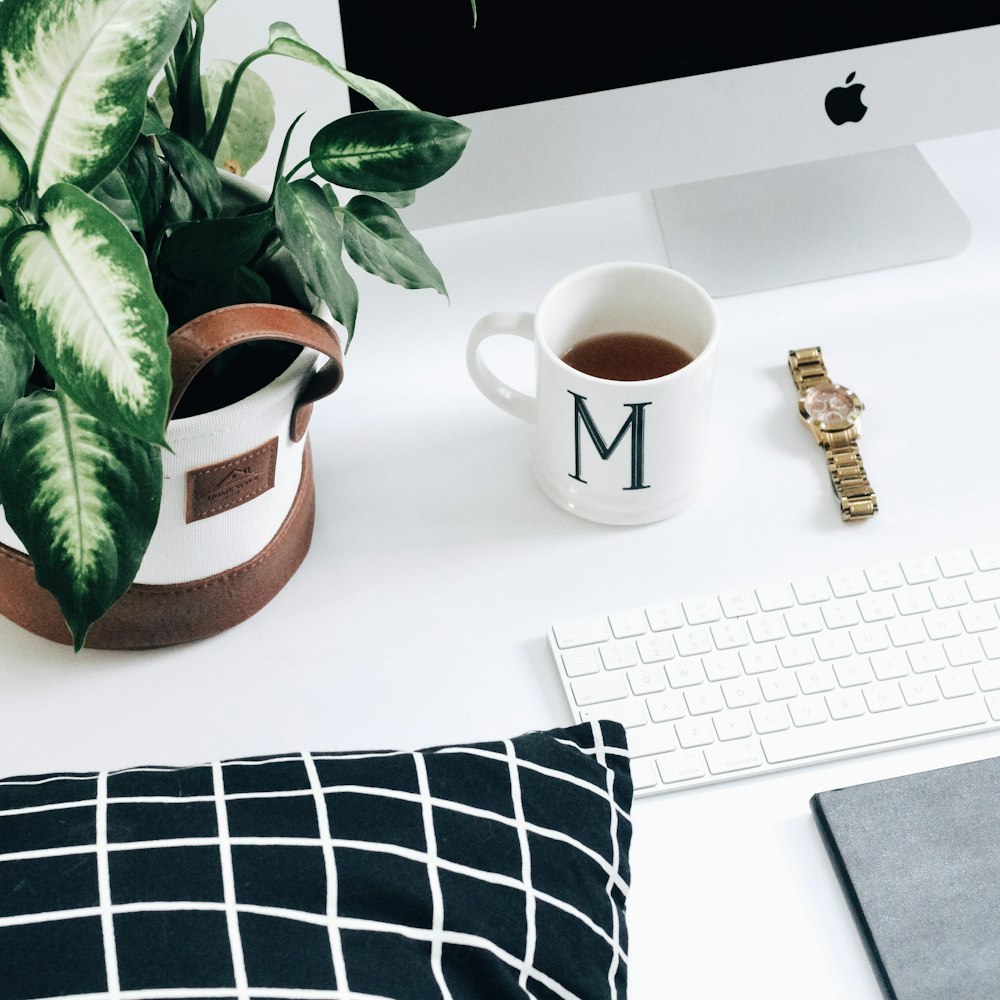 white ceramic mug near plant and watch on white wooden surface