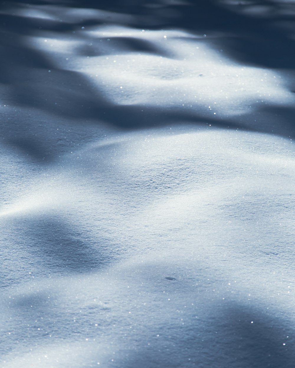 雪に覆われた表面