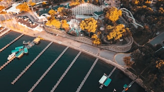 An aerial view of an amusement park located near a body of water. The amusement park features a Ferris wheel, roller coaster tracks, and various other rides. The park is surrounded by lush trees that have an autumnal golden hue. Along the water, there are several docks and boats, with the piers extending out into the water. Roads and pathways can be seen encircling the park area.