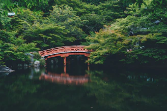red bridge near trees