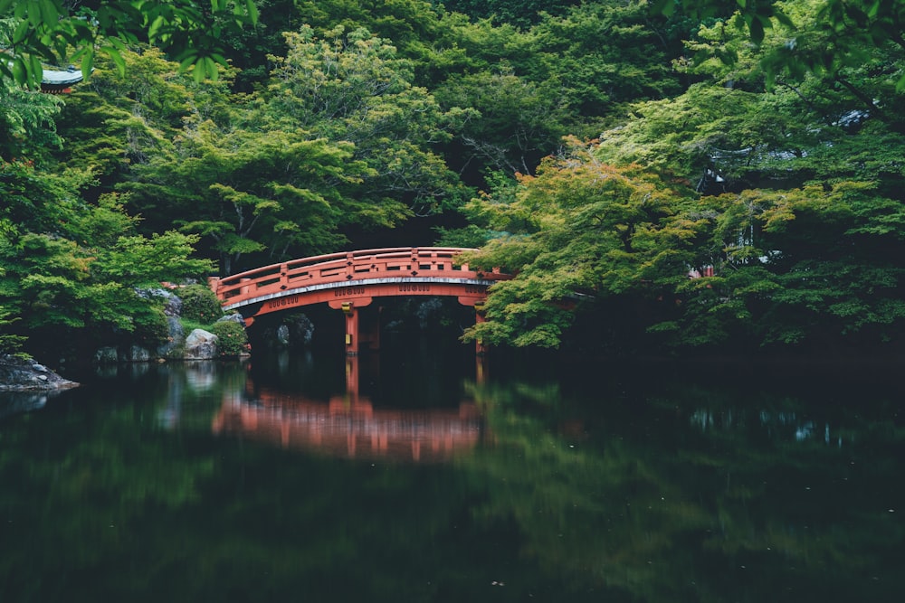 red bridge near trees