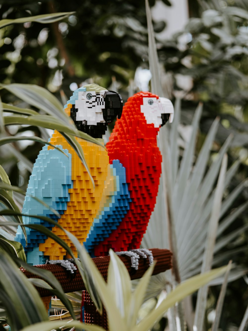 shallow focus photo of red and orange parrots plastic figures