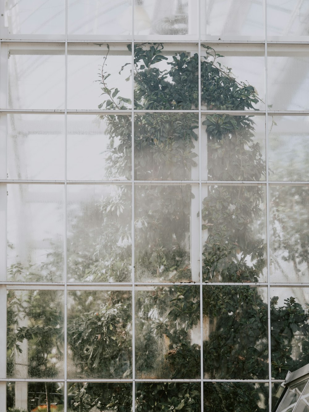 a window with a plant in the middle of it