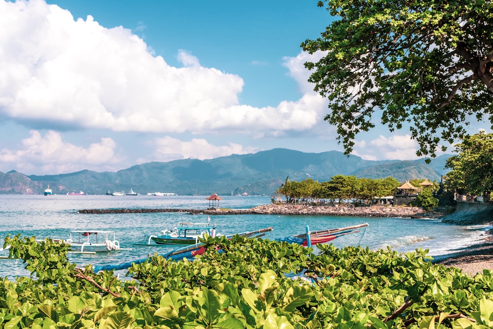 boats on seashore during daytime