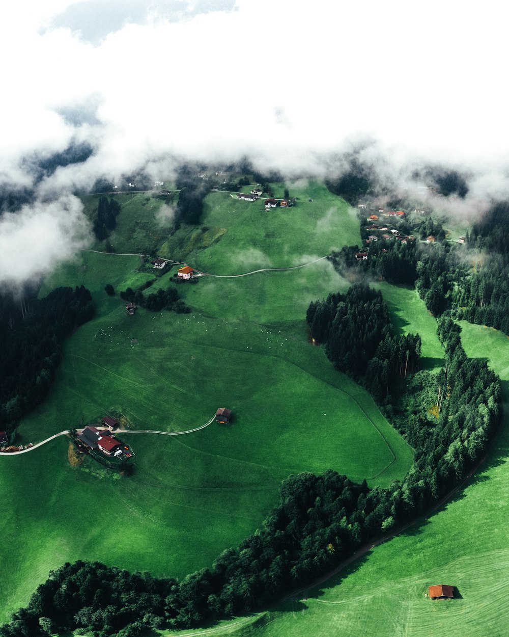 Fotografía aérea de campo verde y árboles bajo cielo nublado durante el día
