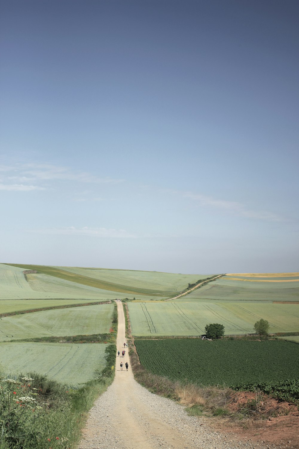 Personnes sur la route