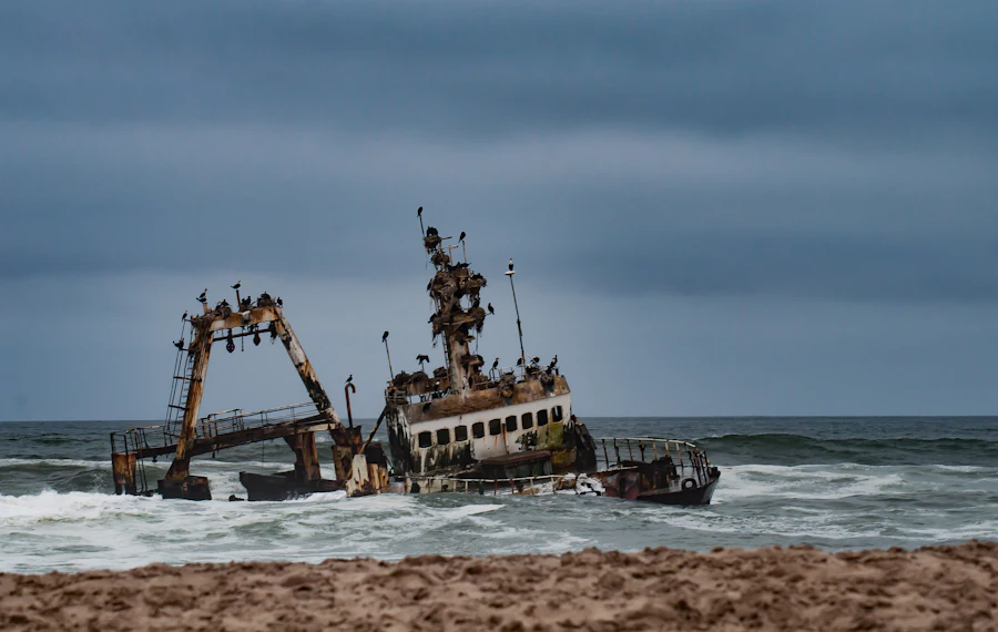 The Skeleton Coast