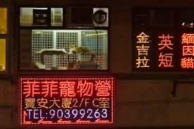 A storefront window at night displays several illuminated signs in a foreign script, likely an Asian language. Inside the window display, a cat sleeps on a platform within a cage, while another cat stands nearby. The scene is dimly lit except for the bright signage, which includes various advertisements and contact information.