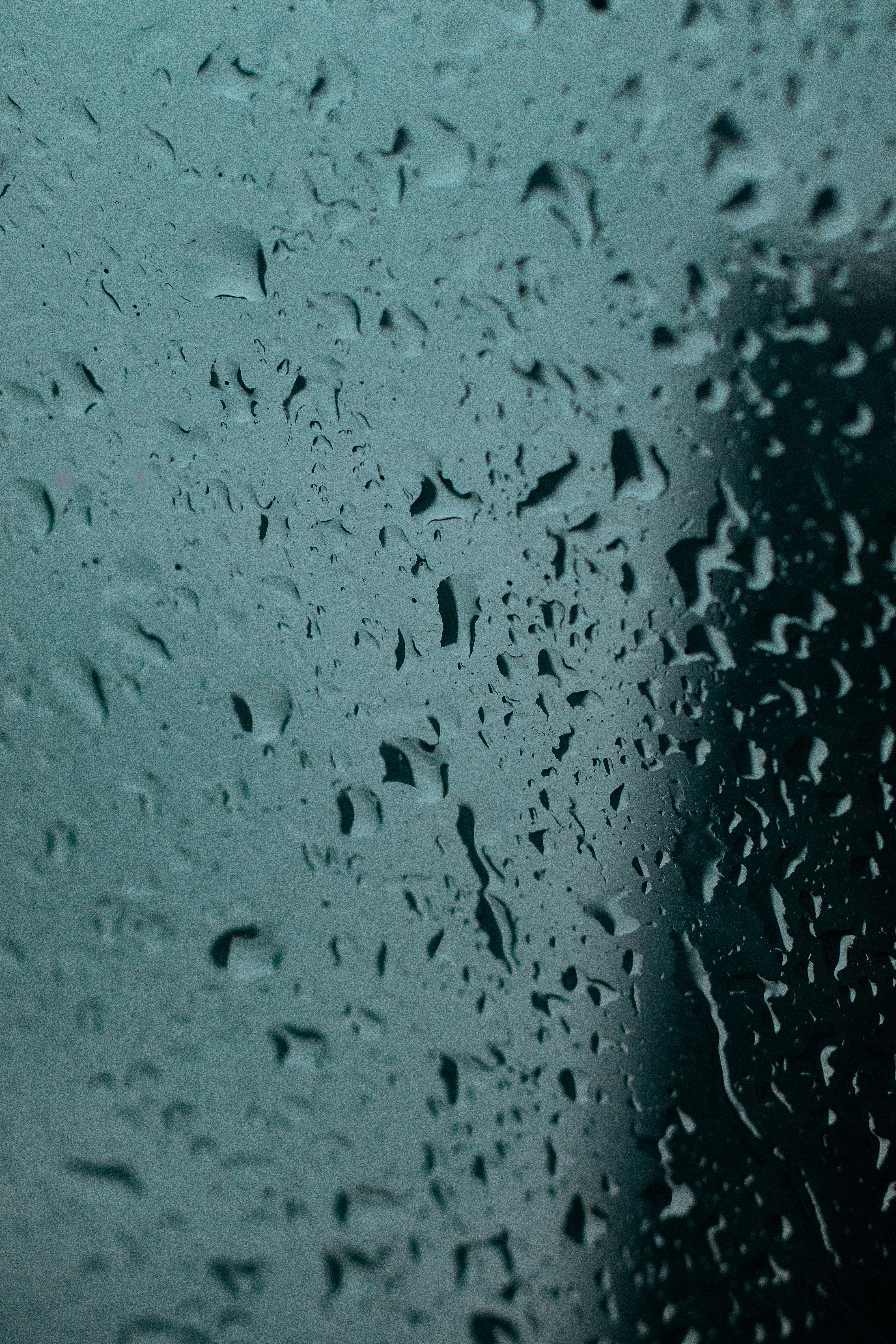 Photo by jali_justin