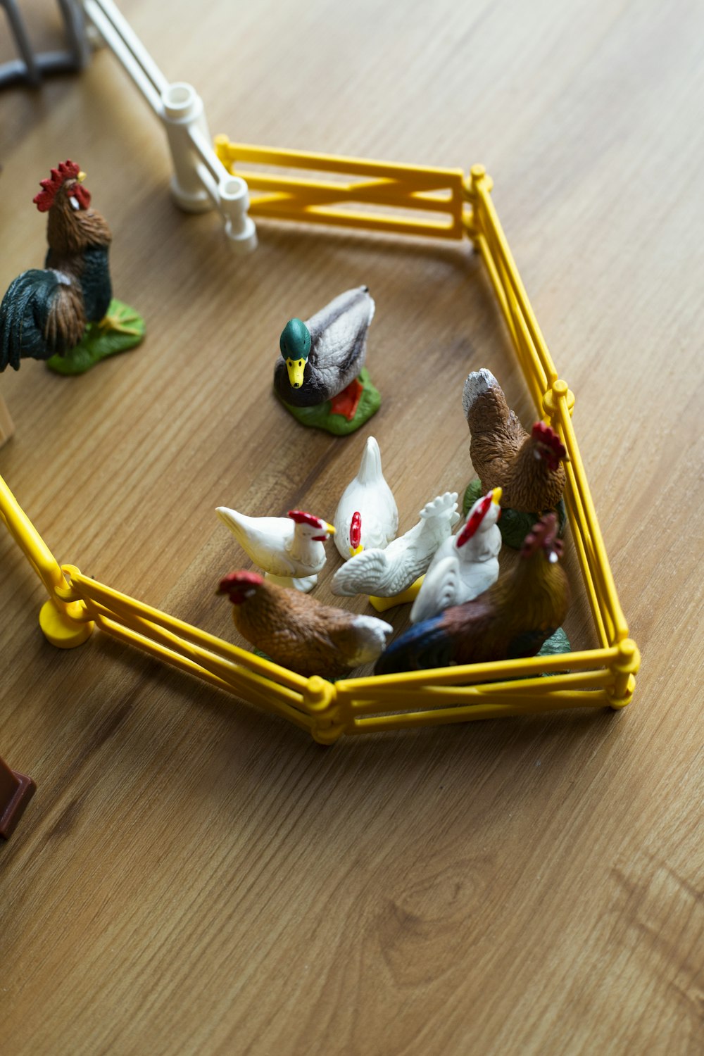 multicolored chicken pen toy