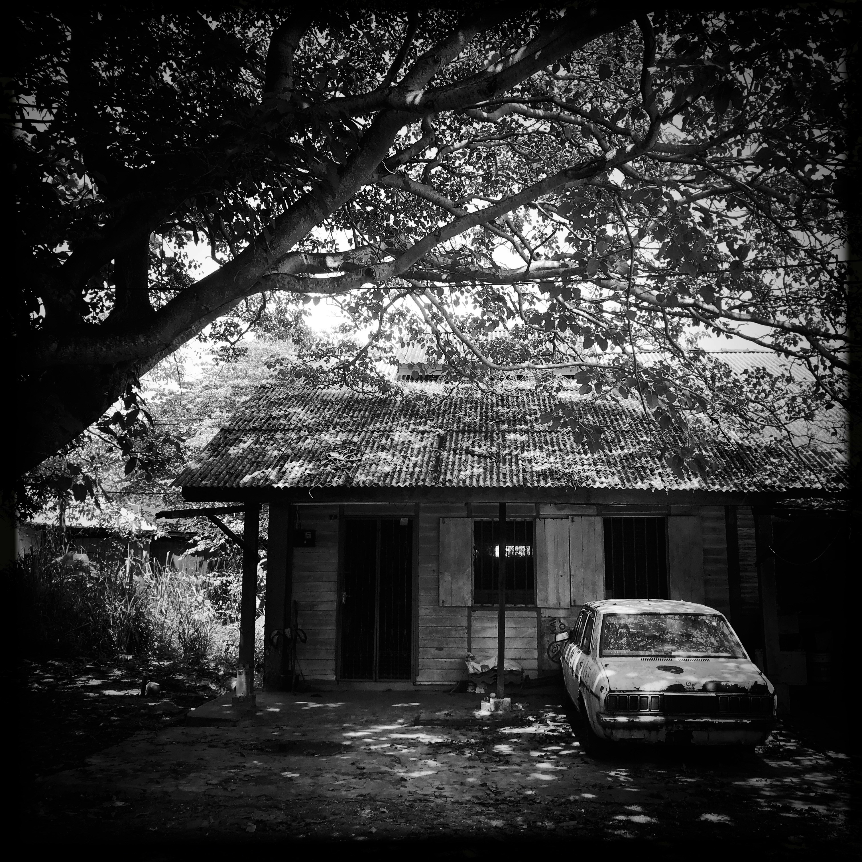 Photo by priscillabunny