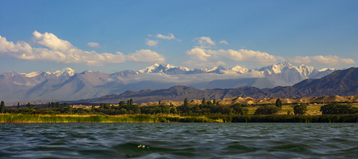 Issyk-Kul on a summer day, with reeds along the shore and snowy peaks behind
