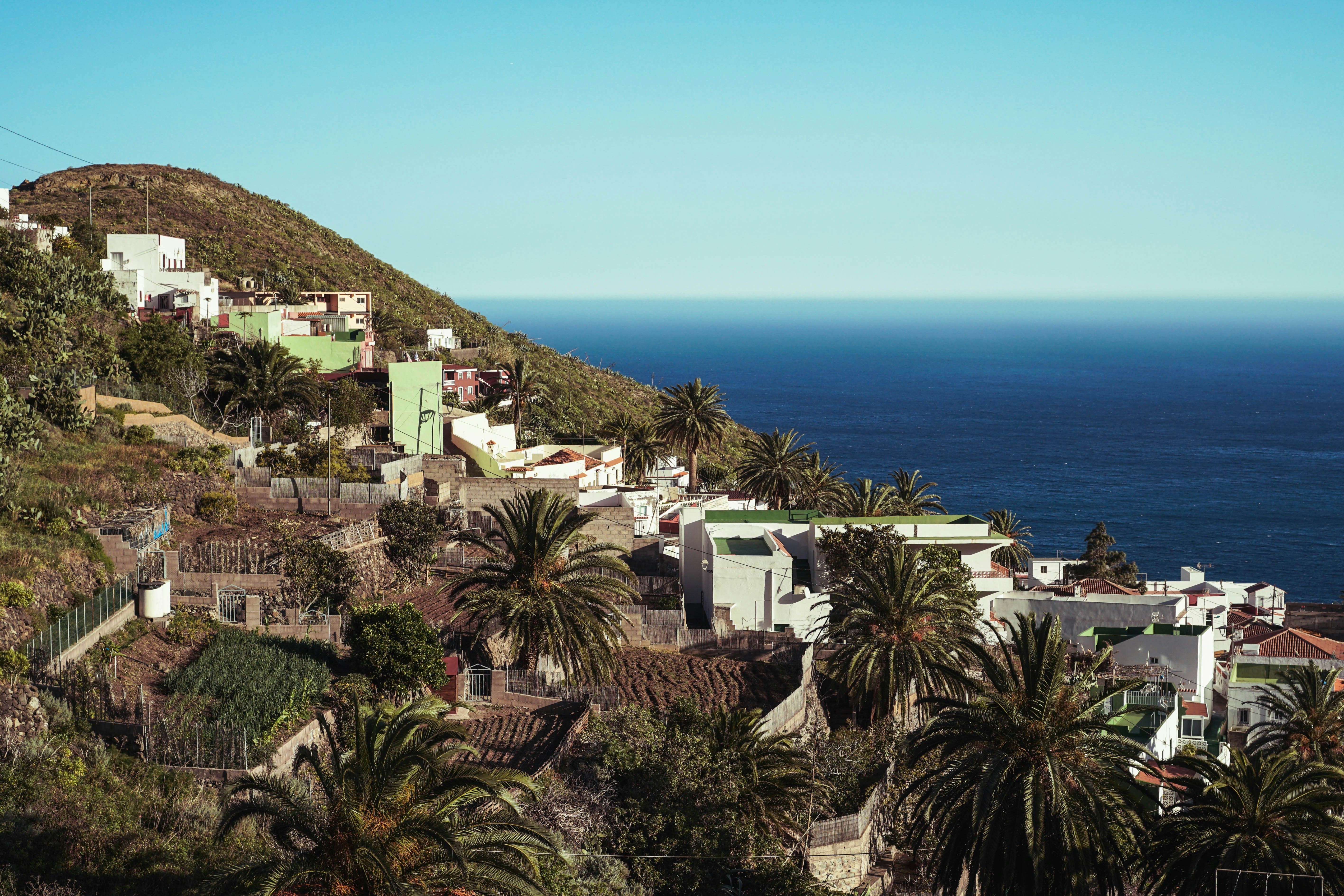 landscape photography of mountain