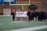 A group of athletes wearing sports uniforms huddles on a grassy field, likely preparing or strategizing for a game. The players are surrounded by additional team members or coaches wearing black jackets. A goalpost and net are visible in the background, along with a brick building.