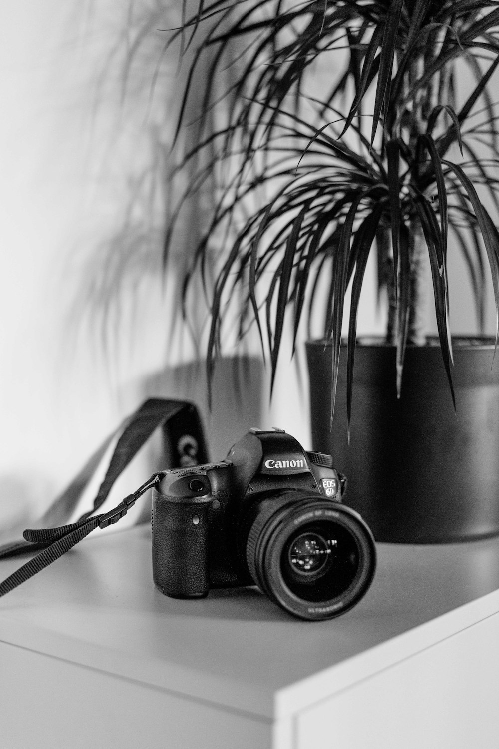grayscale photo of Canon camera