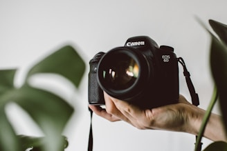 black Canon EOS camera