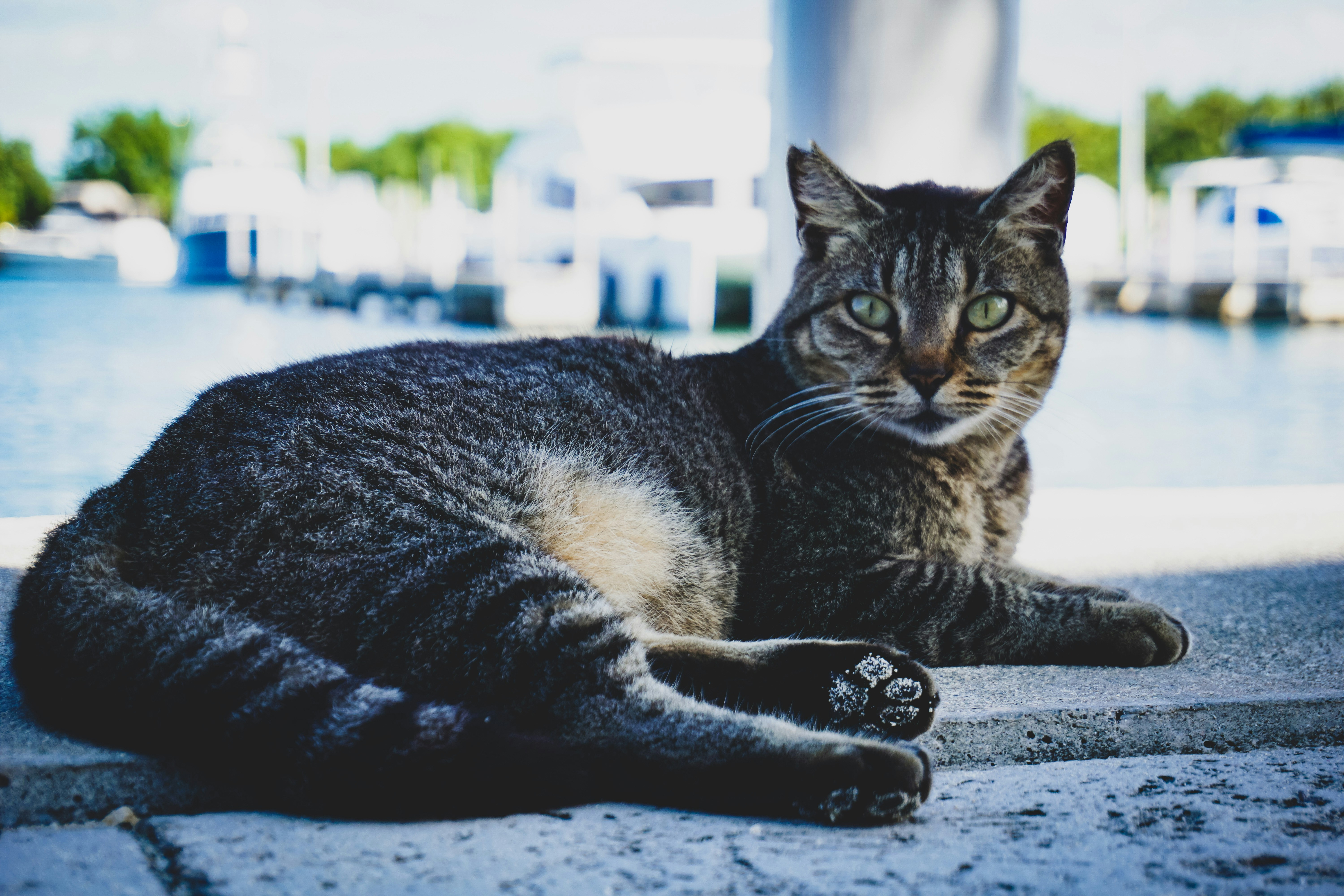 Photo by riesendesignstudio