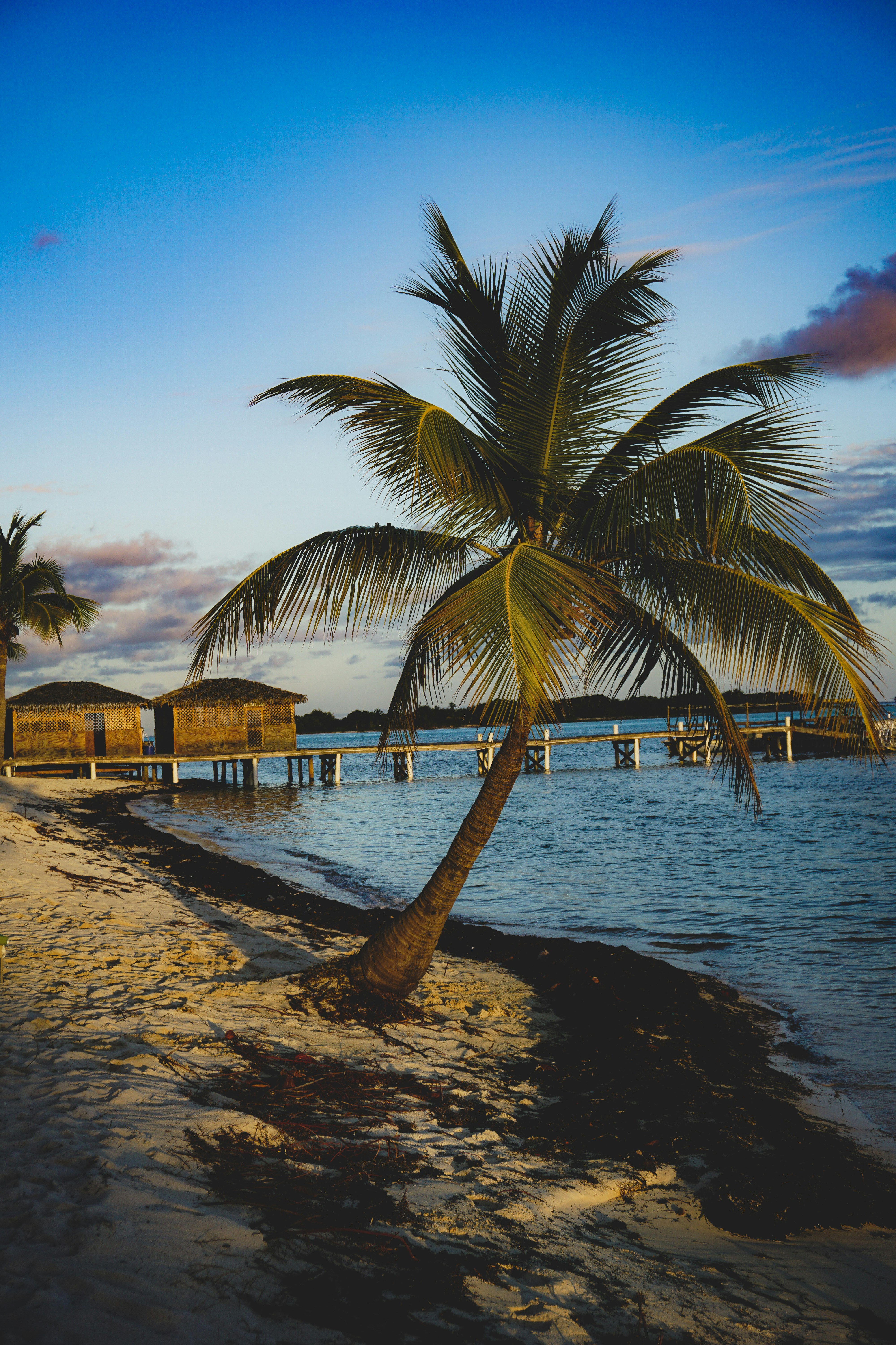 Photo by riesendesignstudio