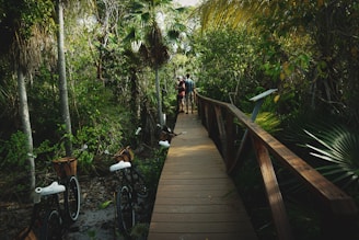 A wooden boardwalk winds through a lush, tropical setting, surrounded by dense greenery and tall trees. Several bicycles with baskets are parked along the sides, suggesting it's a serene place for cycling or walking. In the distance, two people are walking together, indicating a leisurely or recreational activity.