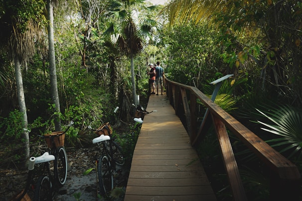 A wooden boardwalk winds through a lush, tropical setting, surrounded by dense greenery and tall trees. Several bicycles with baskets are parked along the sides, suggesting it's a serene place for cycling or walking. In the distance, two people are walking together, indicating a leisurely or recreational activity.