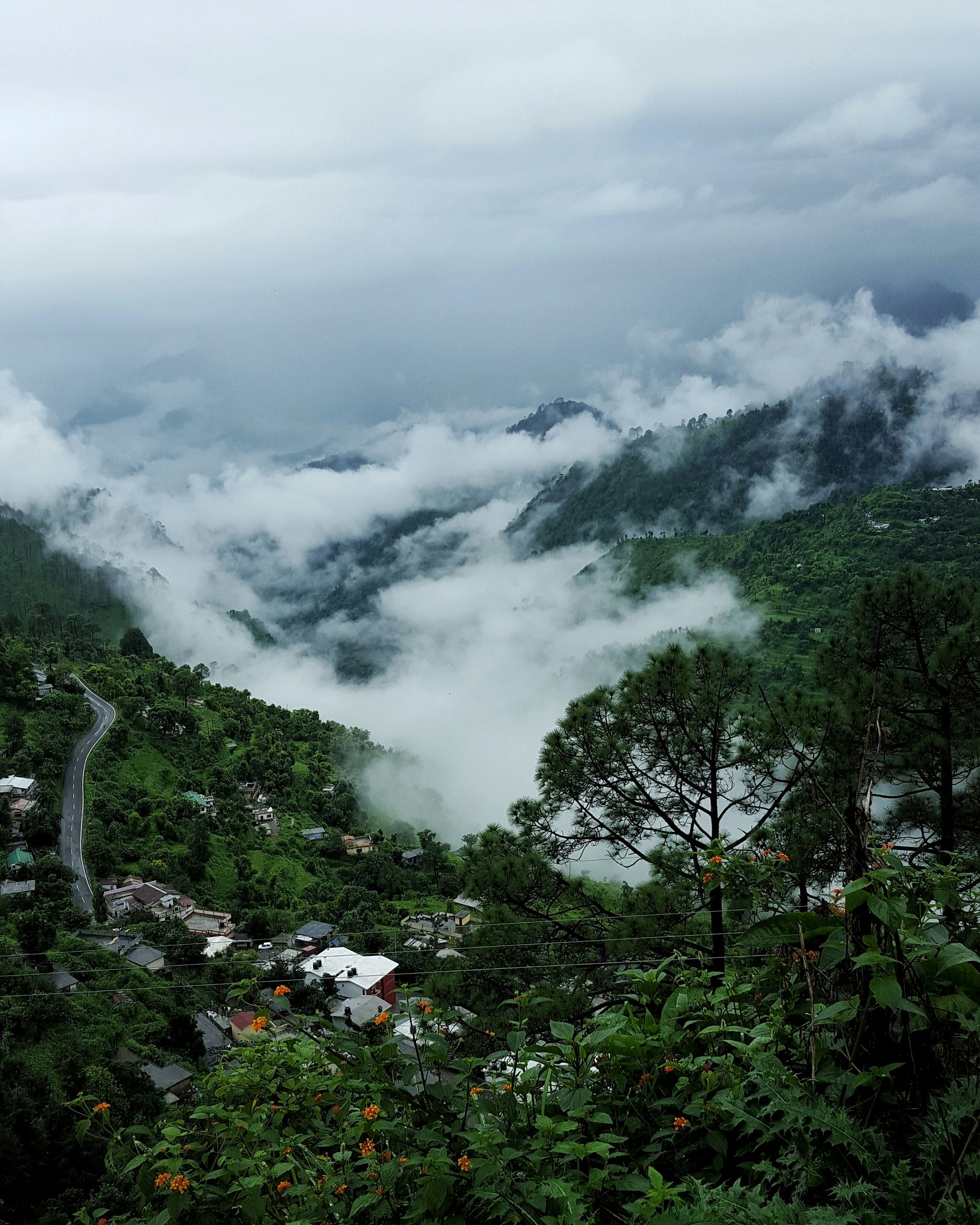 Photo by parasgoyal26