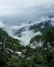 aerial photo of village