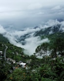 aerial photo of village