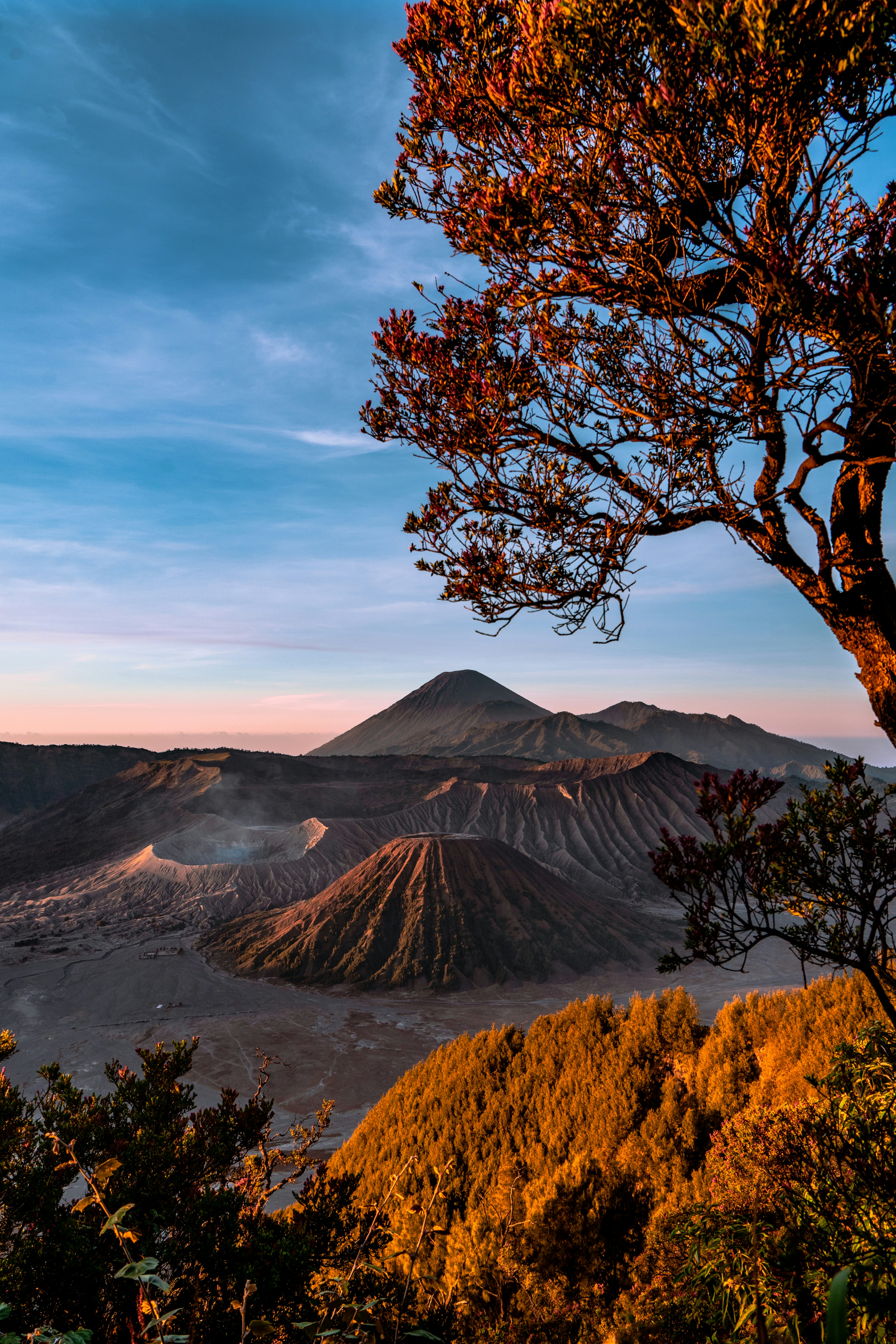 Photo by rhezapaleva3