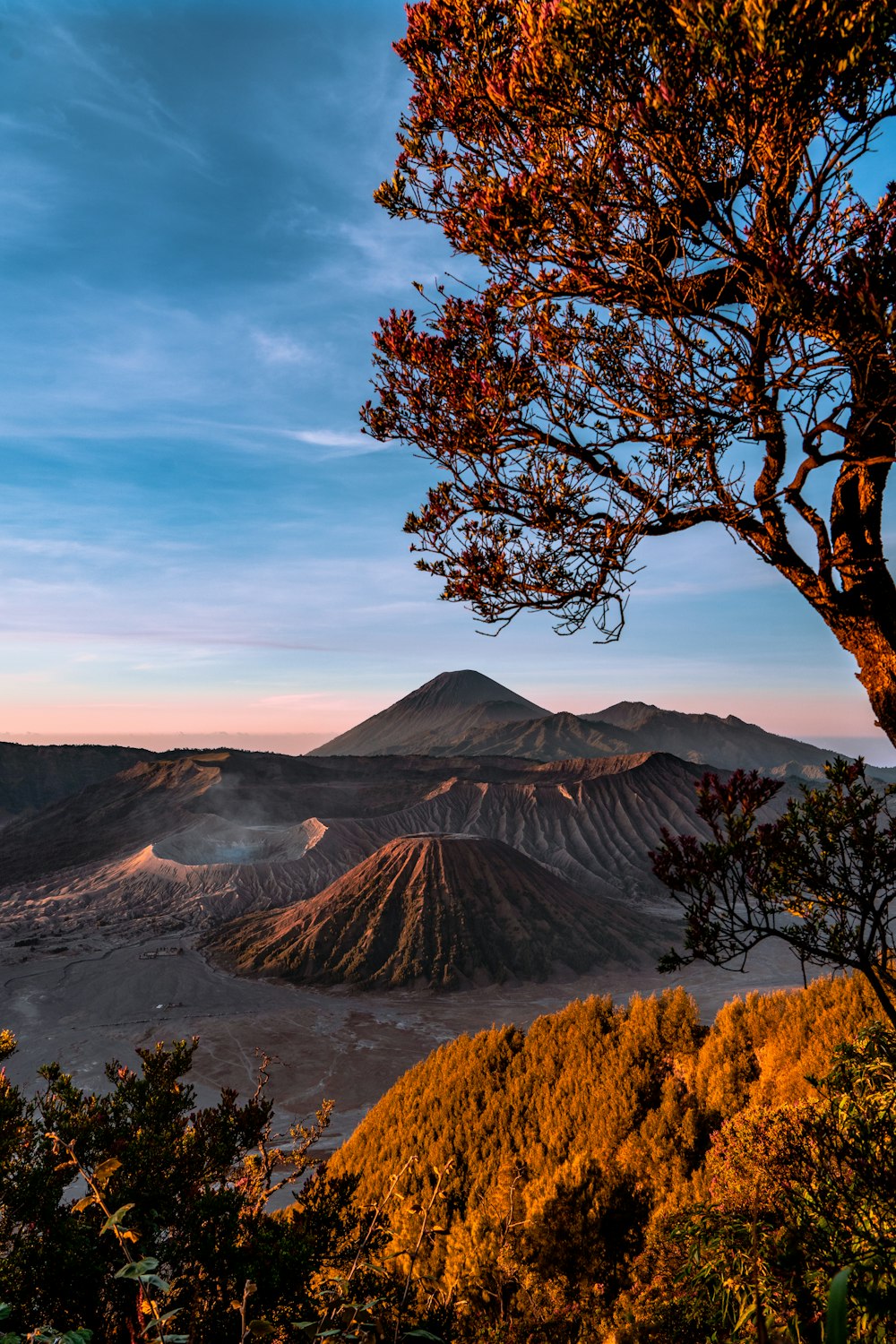 mountain and tree during golden hour