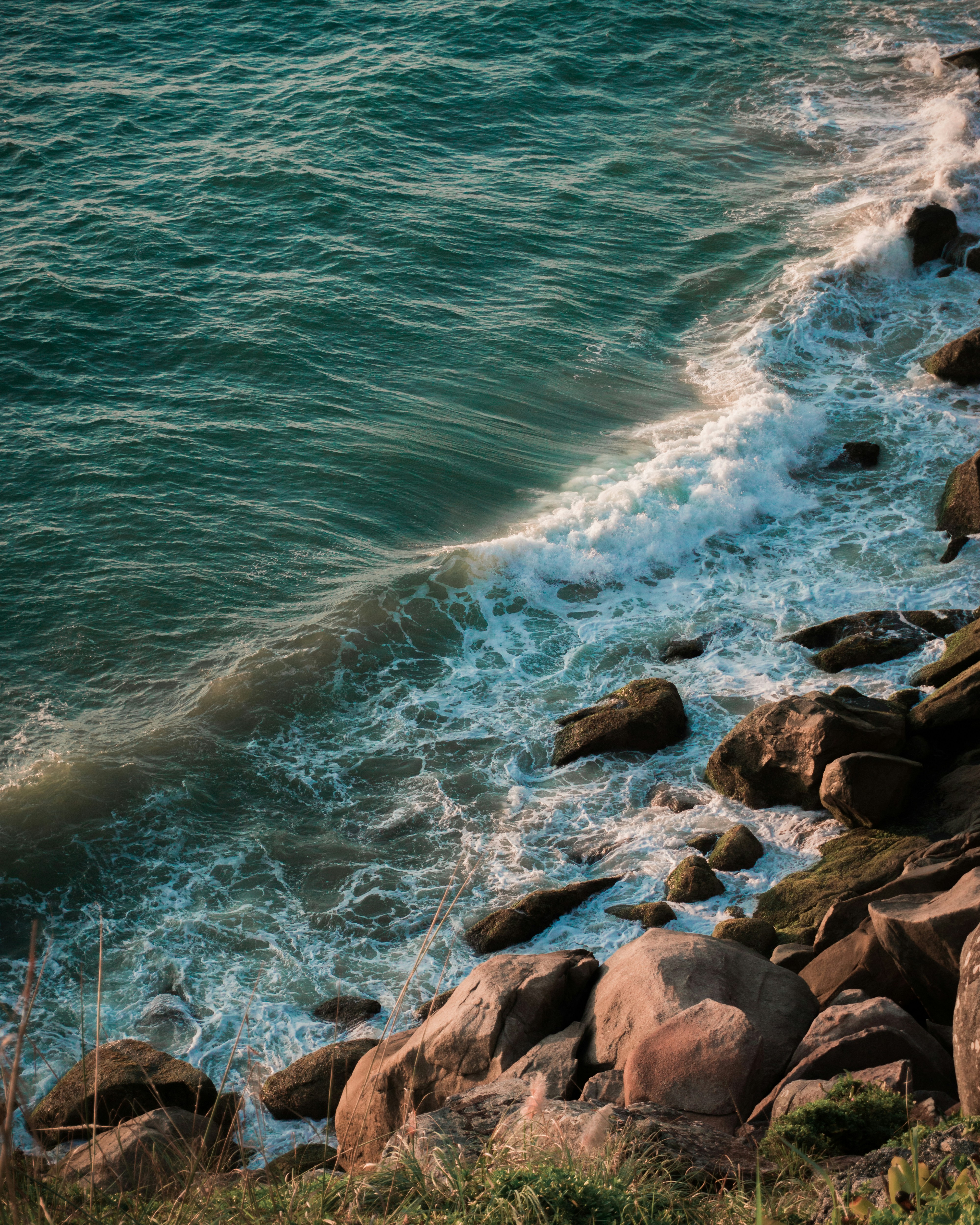 Photo by fernandostahelin