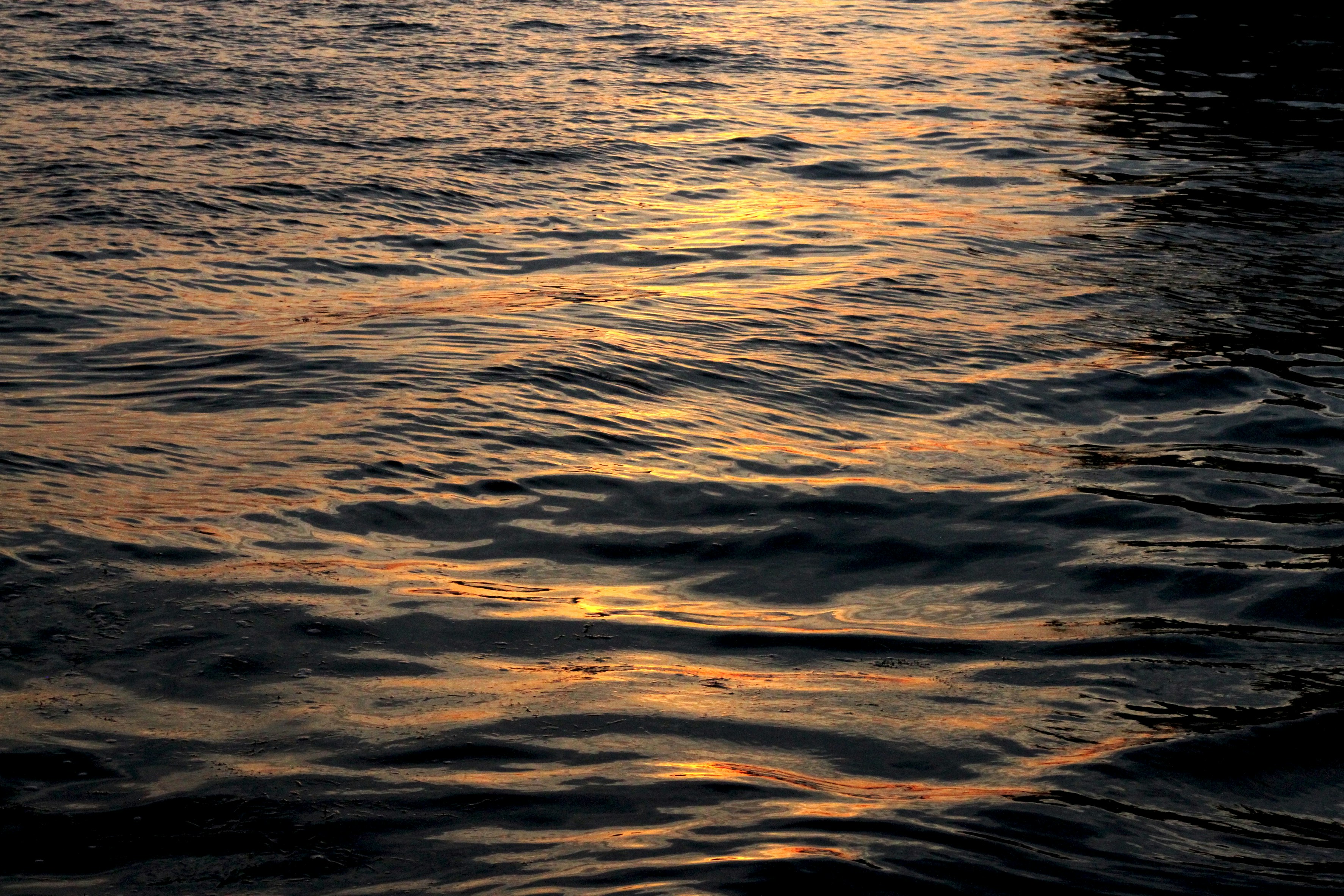 Photo by martinscardoso_unsplash