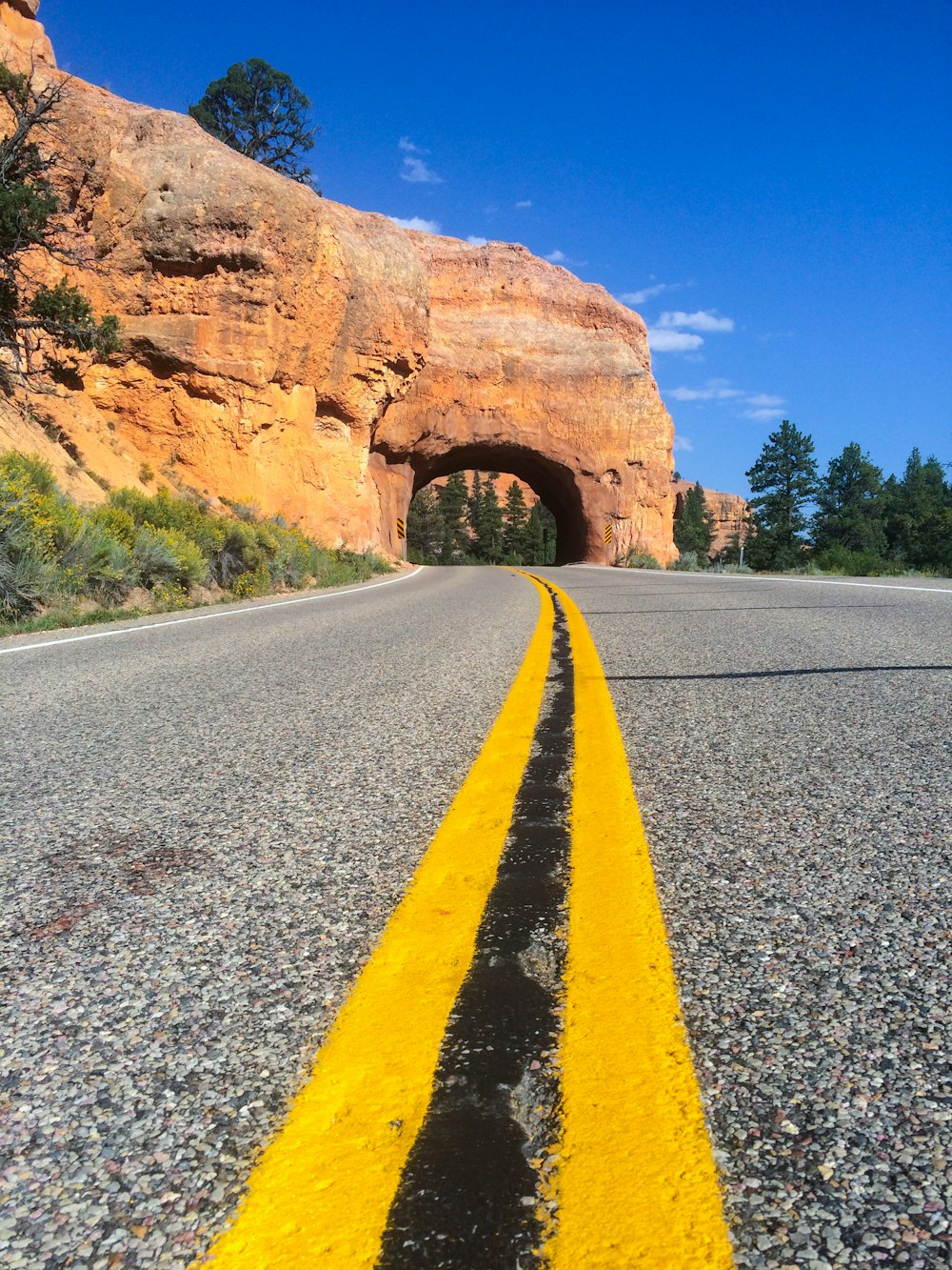 gray concrete road near tunnel