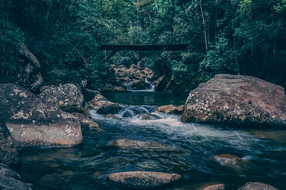 cascade waterfalls between trees and rocks